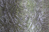 Coulton fibreglass roof work